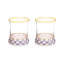 Violet Check Tumbler Glass