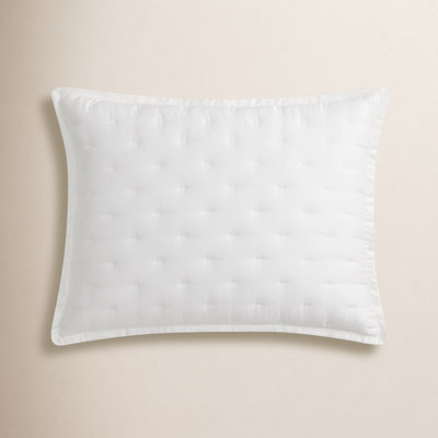 Eucalyptus 100% Lyocell Pillow Sham