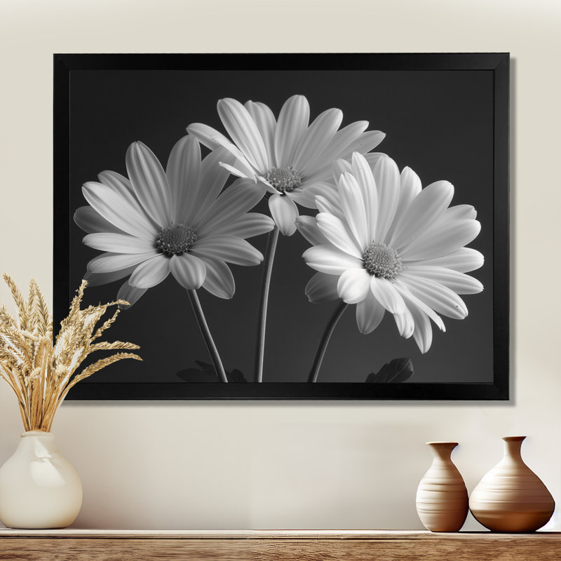 Monochrôme noir et blanc, bonheur, photo IV - marguerites, art mural, Cadre photo noir, H 24 po x l 32 po