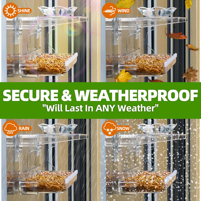 Window Bird Feeder With Non-marking Self-adhesive Hooks