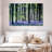 Bluebell Vision-107504011