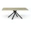 Jacobus Metal Base Dining Table