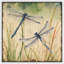 "Libellules tranquilles, aquarelle inspirée de la nature, art moderne pastel" sur-98179751-98179752