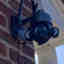 Customer photo 2 of 2