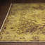 Hackett Area Rug-1626342823