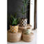 Ackworth Handmade Clay Pot Planter - Set of 3
