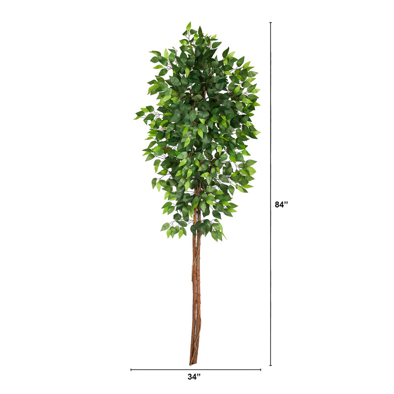 Waller 84'' Faux Ficus Tree