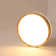 Damiyon 1-Light 30cm Modern Dimmable LED Energy-Saving Ceiling Light Round Flush Mount Lamp