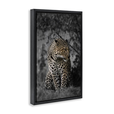 Guépard féroce dans la nature