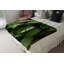 Doneka Plain Weave / Muslin Throw Blanket