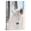 Cheval blanc, impression sur toile-18757529-74385613-74385614