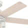 44" Hardwick 5 - Blade Standard Ceiling Fan with Remote Control and Light Kit Included
