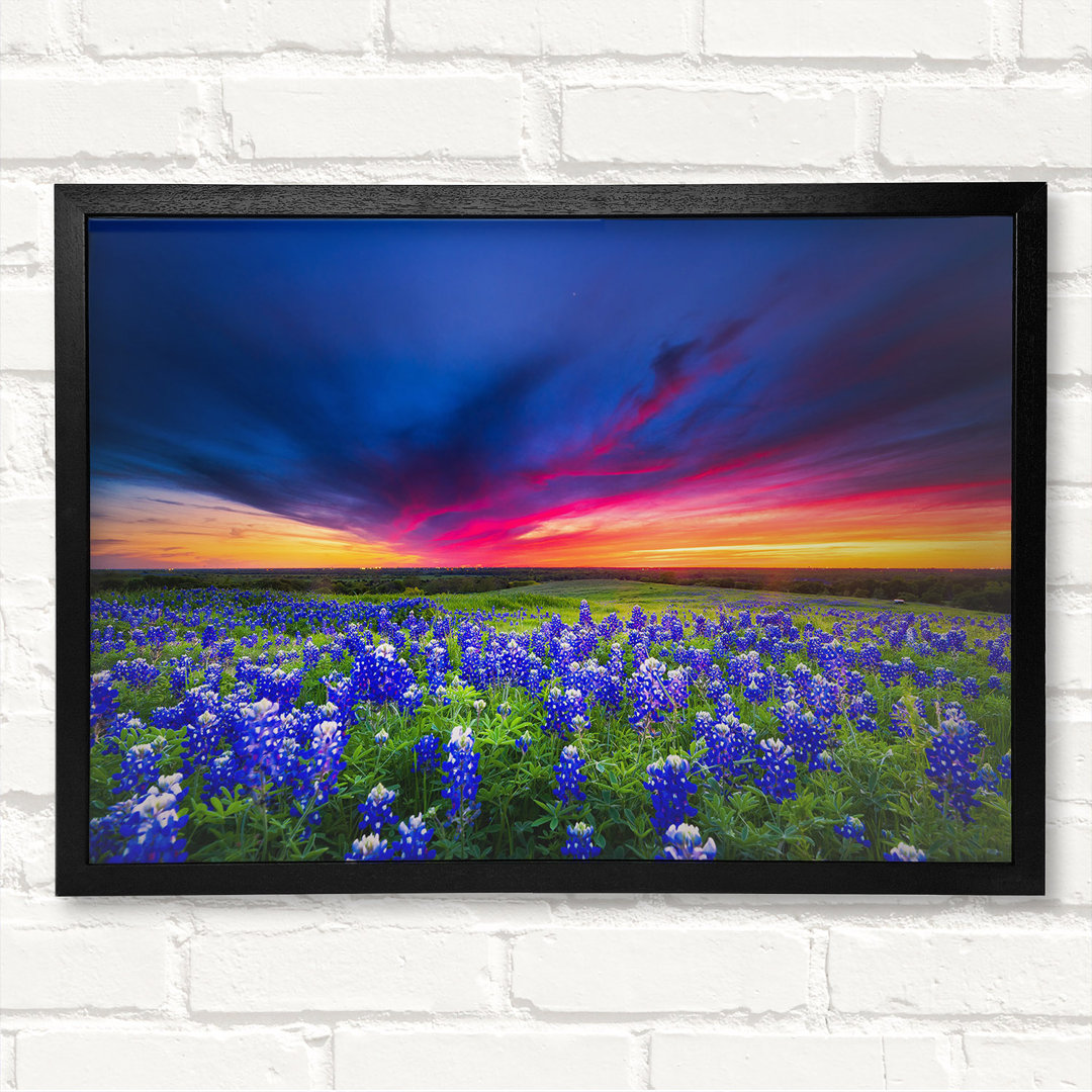 Vibrant Skies Above Blue Flowers - Geschlossener Eckrahmen Kunstdrucke auf Holz