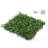 Artificial Eucalyptus Privacy Fence Panel-93804425