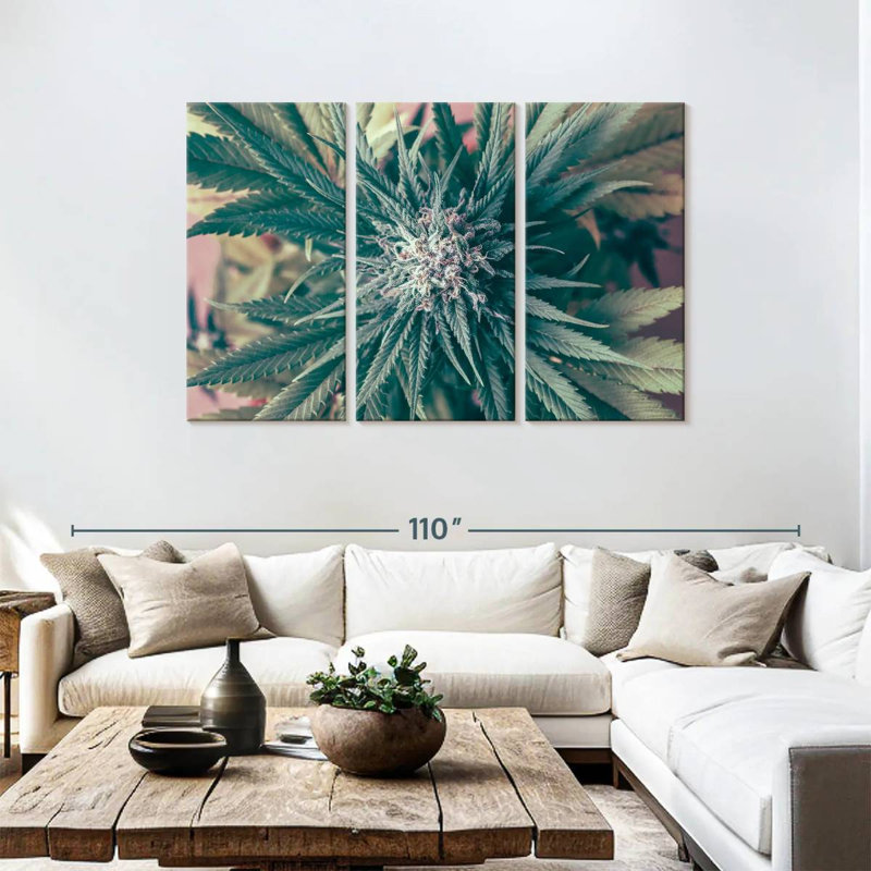 Marijuana Blossom, 48" H x 74" W
