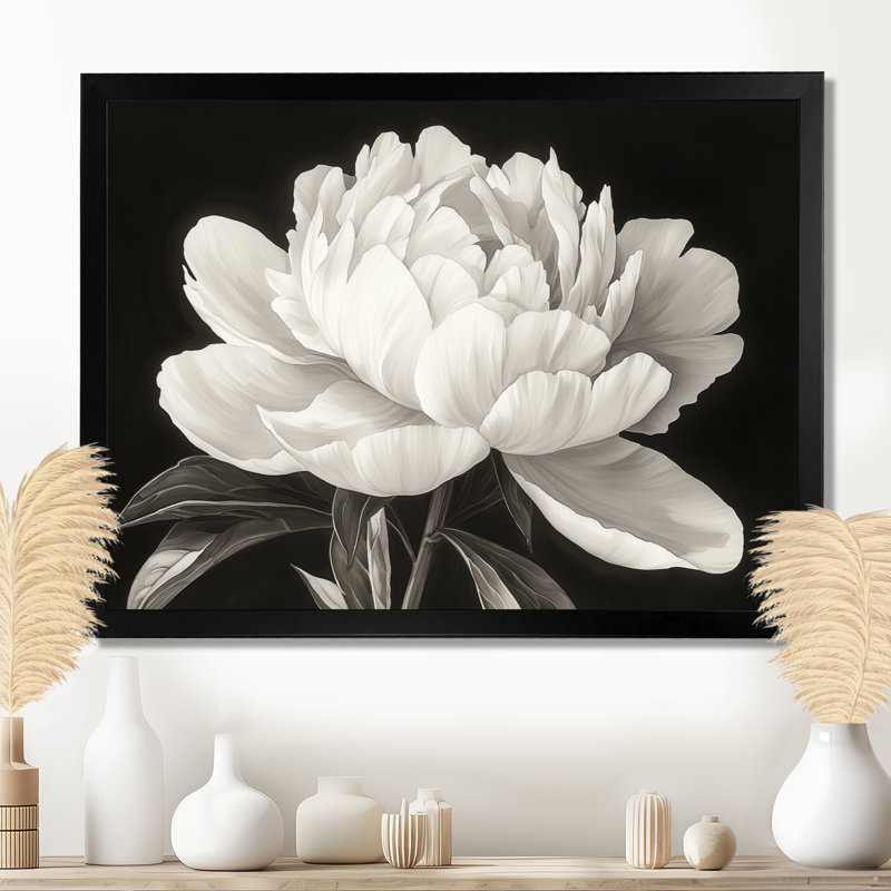 Pivoine blanche et noire Innessa Elegance II - pivoines, art mural pour le salon, Reproduction encadrée d'une seule photo