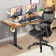 Laib Electric Height Adjustable Standing Desk with 4 Lockable Casters, 2 Hooks