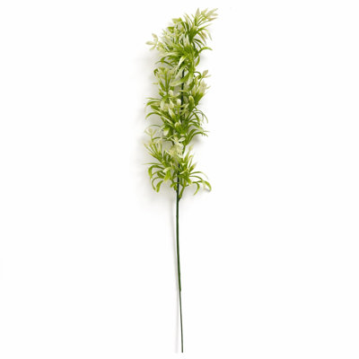 45 Plant