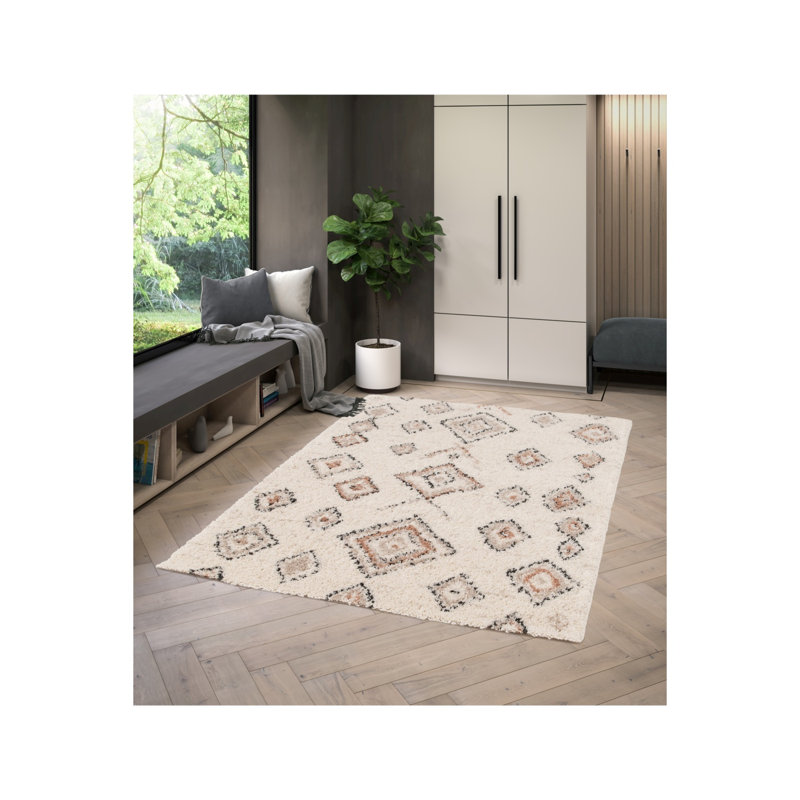 Takehito Oriental Area Rug, Rectangle 160 x 230cm