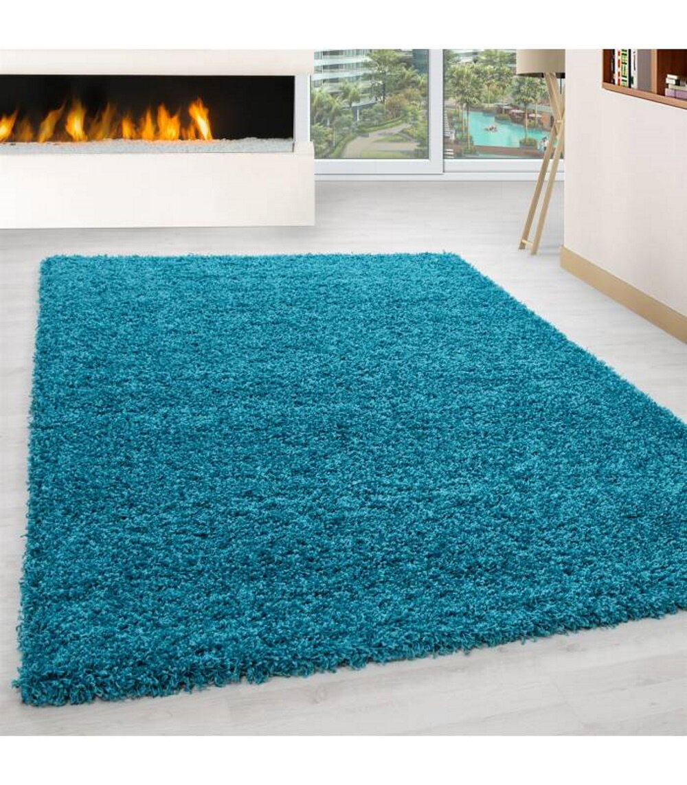 https://assets.wfcdn.com/im/71398681/compr-r85/1083/108326854/lublin-turquoise-indooroutdoor-rug.jpg