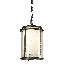 Meridian 1 - Bulb 15.7" H Mains Only Outdoor Hanging Lantern-470566482