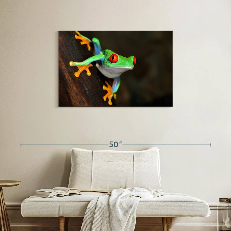 Brampt Tiny Red-Eyed Tree Frog, 24" H x 36" W