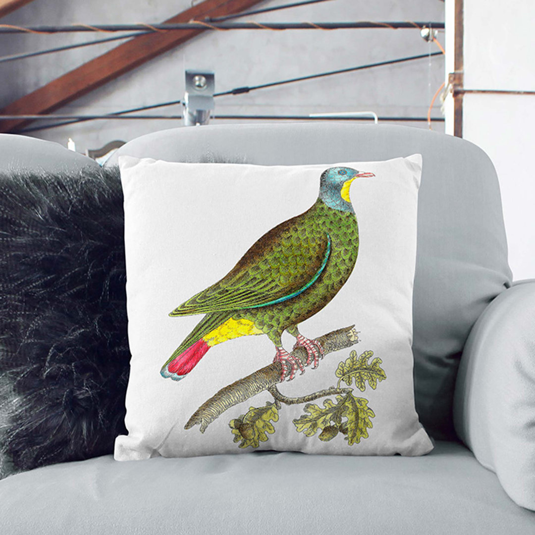 Black-Capped Pigeon by George Shaw Cushion with Filling