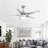 Ceiling Fan with LED Lights-2011103443