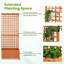 Pachl Vertical Garden with Trellis
