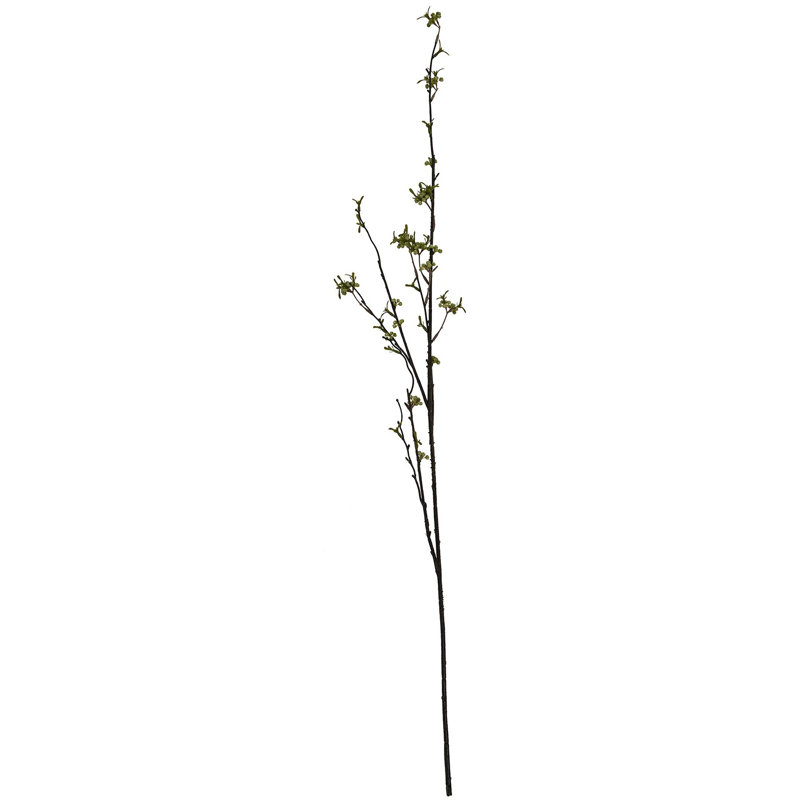 Anastasija Arrangement