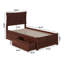 Daury Extra Long Twin Platform Standard Bed-19020231