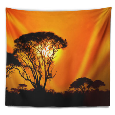 Magnifique coucher de soleil africain à Savannah