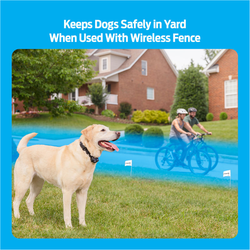 Premier Pet Wireless Add-A-Dog Collar