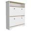 Range-chaussures Dublin avec une tablette ouverte et deux armoires extensibles-842054800