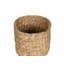 Aldah Pot Planter