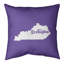 Coussin intérieur / extérieur-43171811-42638335-42638340
