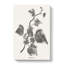 Ivy Marginata Media by Shirley Hibberd - Wrapped Canvas-55308561