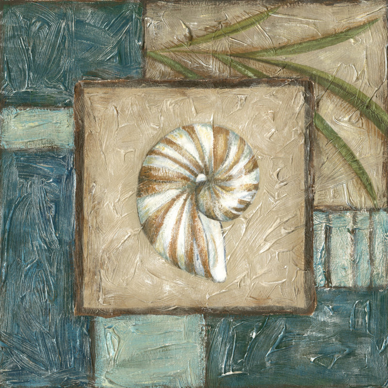 Shell Montage I by Chariklia Zarris - Wrapped Canvas Painting, 30cm H x 30cm W