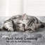 Arbre à chat 70 "-1490336152