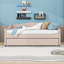 Upholstered Daybed with Light and Trundle-369266439-369266433
