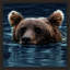 Swimming Brown Bear Print