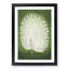 Peacock by Ohara Koson - Picture Frame Painting Print-55739091-55739096