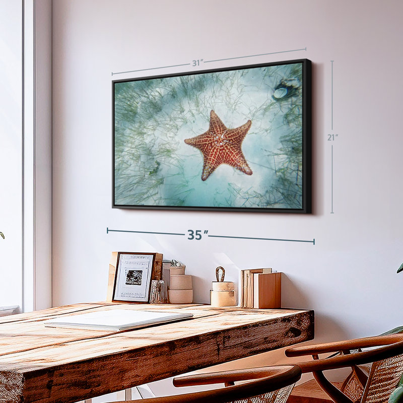 Impression sur toile d'étoiles de mer Shallows, H 21 po x l 31 po