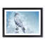 Falcon Bird with a Winter Scene - Picture Frame Painting Print-55731145-55731149
