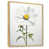 Cadre naturel flottant