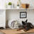 Tucker Murphy Pet™ Fabric Decorative Bin-39473921-39473920