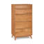 Catalina 5 - Drawer Solid Wood Dresser-24674749