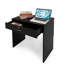 Malkie Computer Desk-530383734