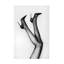 Art sur toile, bolologique, Studio III-103094291
