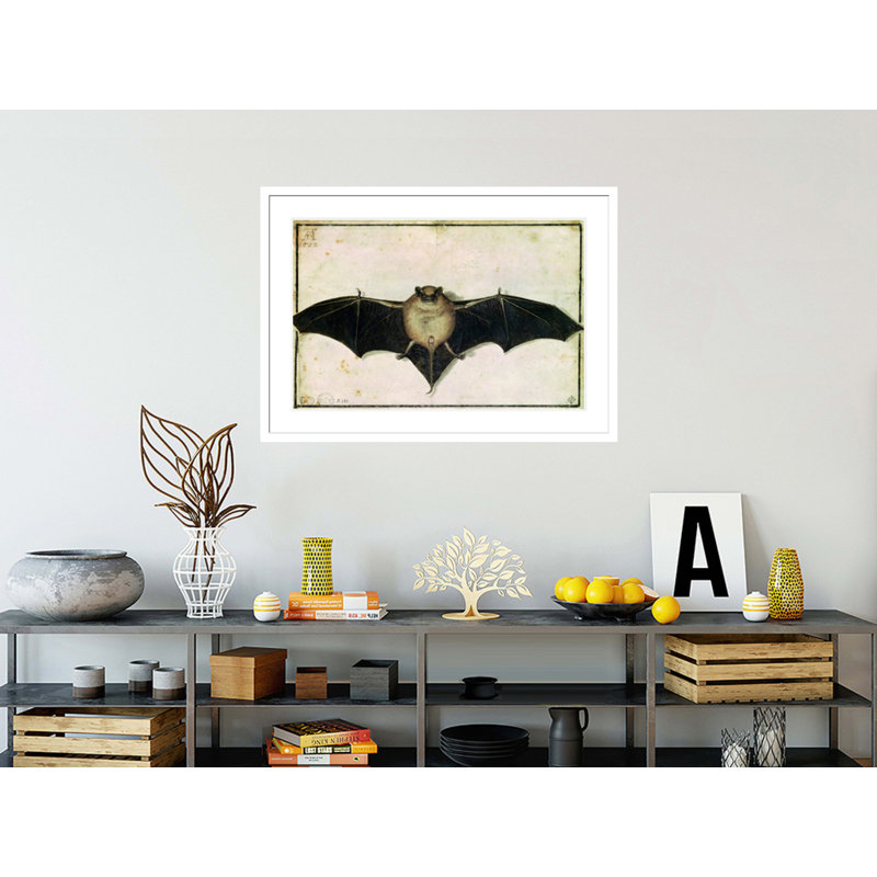 Chauve-souris par Albrecht Dürer - Impression sur toile, H 29,64 po x l 41,5 po